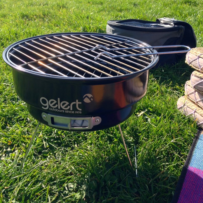 Portable BBQ with cooler bag